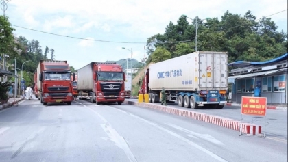 越南对华农产品出口活动又开始活跃起来