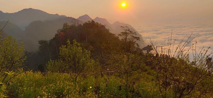 在猎云地点附近，人民种了很多油菜花、荞麦花、五彩草等。春天的时候，油菜花烂漫盛开。