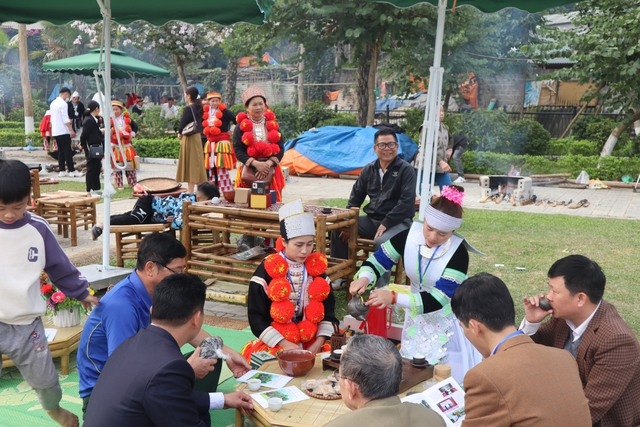 游客很高兴参加 2023 年山雪茶节,亲眼目睹茶叶加工过程。 游客很高兴参加 2023 年山雪茶节,亲眼目睹茶叶加工过程。