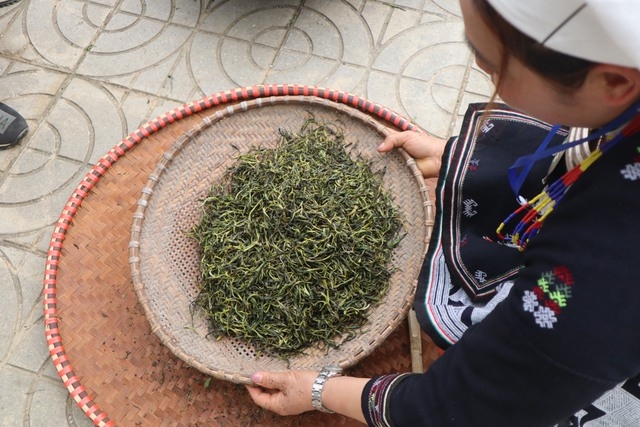 茶叶杀青后,茶民将进行筛选,去除碎茶叶。 茶叶杀青后,茶民将进行筛选,去除碎茶叶。