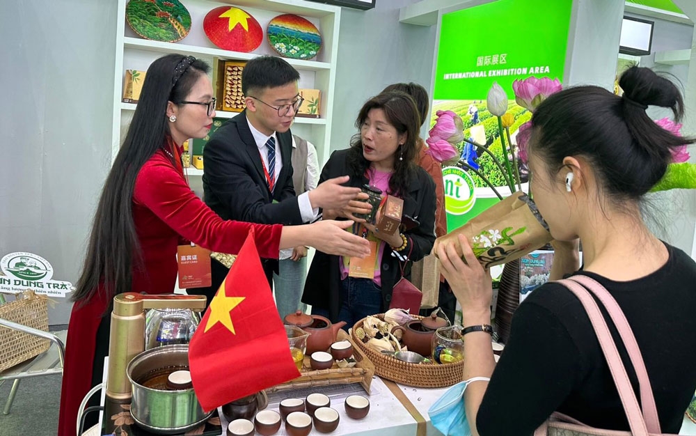5家太原省茶叶合作社参加中国国际茶叶展 5家太原省茶叶合作社参加中国国际茶叶展