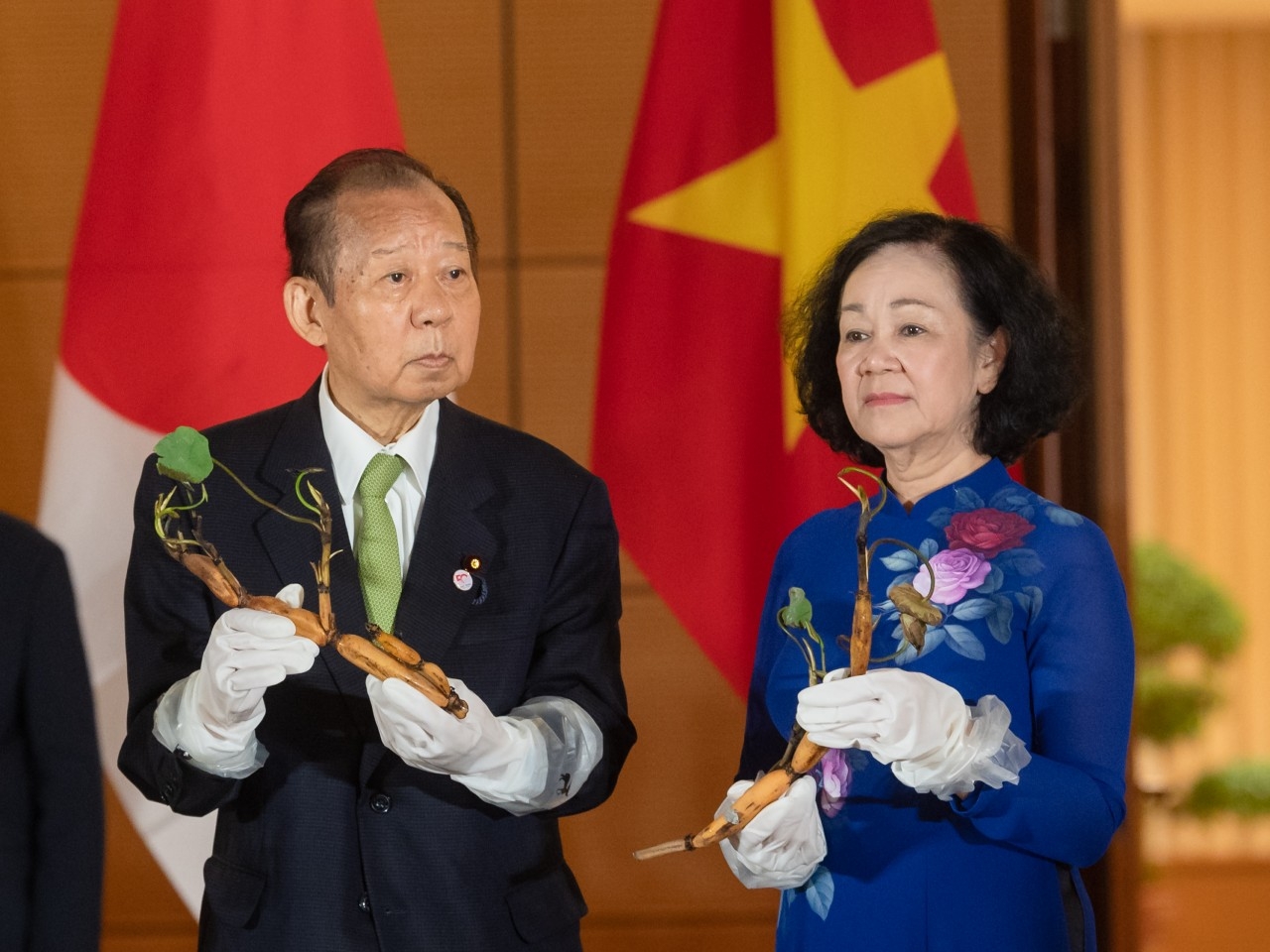 越日莲花——友谊使者