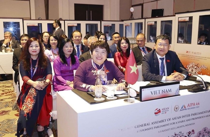 出席第44届东盟议会联盟大会第一次全体会议的越南代表团。