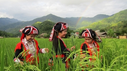 增强少数民族妇女的经济权能以改善生计