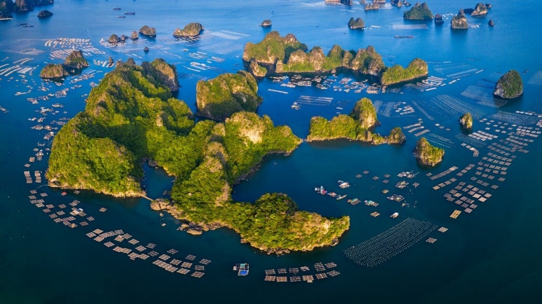 附图 附图