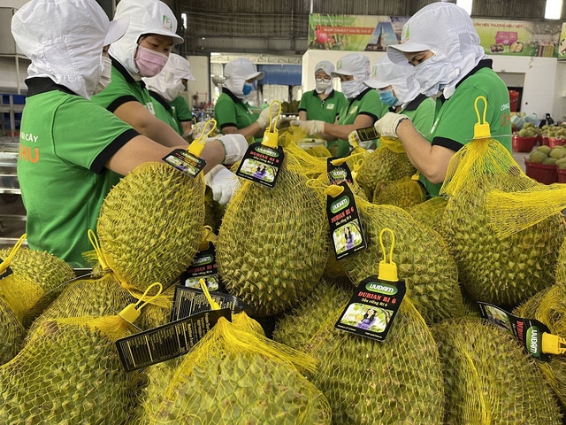 保持交流合作,确保通关畅通,为越南农产品开放中国市场 保持交流合作,确保通关畅通,为越南农产品开放中国市场