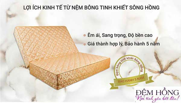 Top 5 đệm bông ép cao cấp tại Đệm Hồng “nằm là sướng”