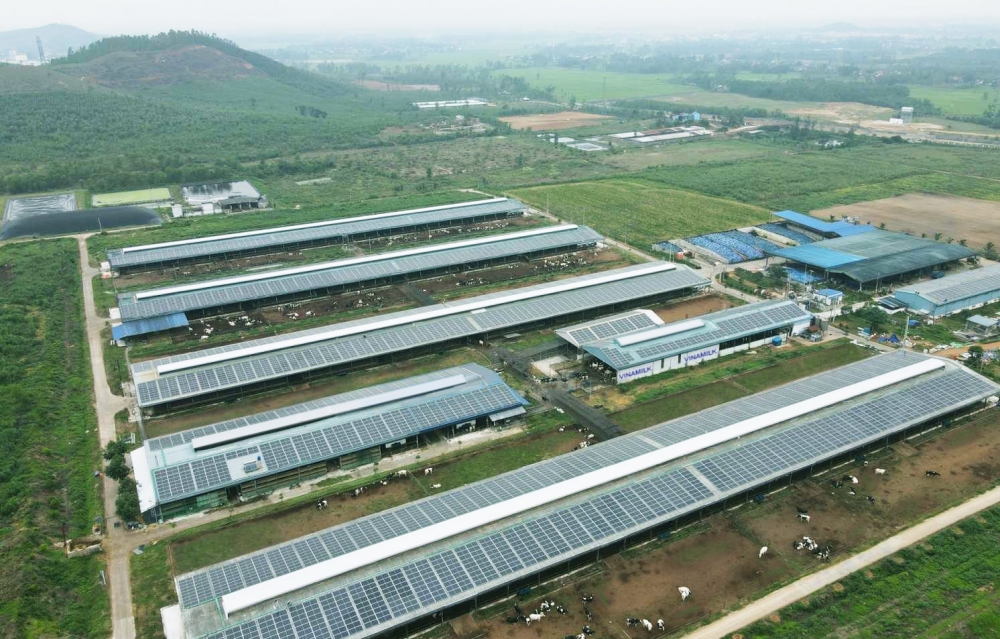 Vinamilk đầu tư hệ thống năng lượng mặt trời tại 12 trang trại bò sữa trên cả nước Vinamilk đầu tư hệ thống năng lượng mặt trời tại 12 trang trại bò sữa trên cả nước