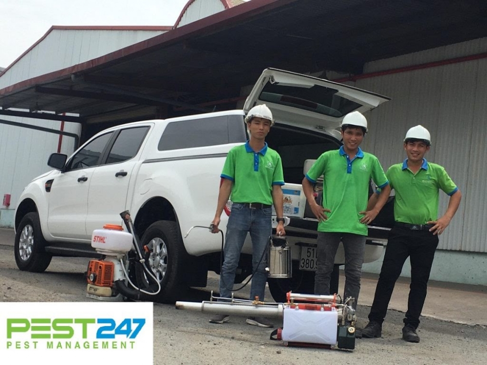 Khử trùng xanh - dịch vụ diệt chuột tận gốc chuyên nghiệp an toàn TPHCM Khử trùng xanh - dịch vụ diệt chuột tận gốc chuyên nghiệp an toàn TPHCM