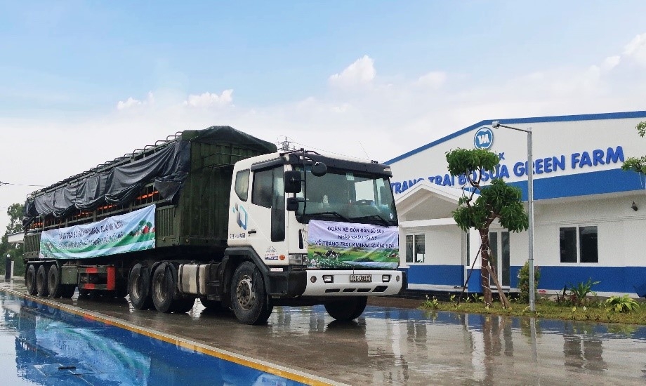 Vinamilk nhập khẩu hơn 2.100 bò sữa HF thuần chủng từ Mỹ về trang trại mới tại Quảng Ngãi Vinamilk nhập khẩu hơn 2.100 bò sữa HF thuần chủng từ Mỹ về trang trại mới tại Quảng Ngãi