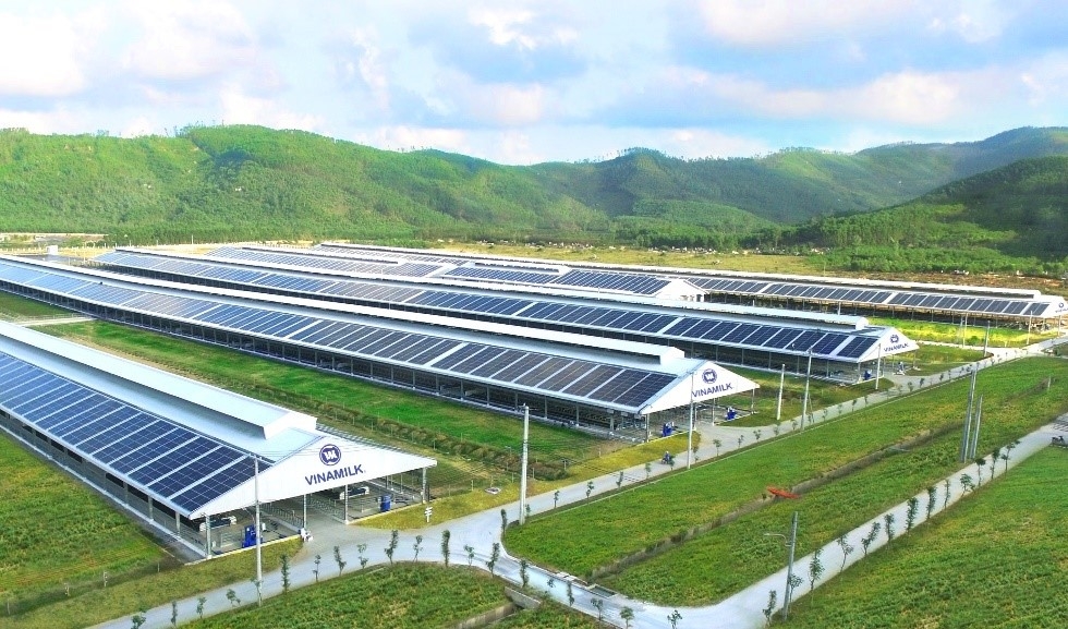 Vinamilk nhập khẩu hơn 2.100 bò sữa HF thuần chủng từ Mỹ về trang trại mới tại Quảng Ngãi Vinamilk nhập khẩu hơn 2.100 bò sữa HF thuần chủng từ Mỹ về trang trại mới tại Quảng Ngãi