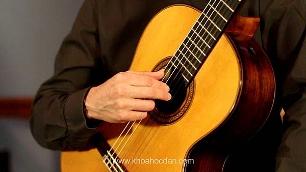 Trung tâm Âm Nhạc YAM - Nơi dạy đàn Guitar tốt nhất của bạn trung tam am nhac yam noi day dan guitar tot nhat cua ban