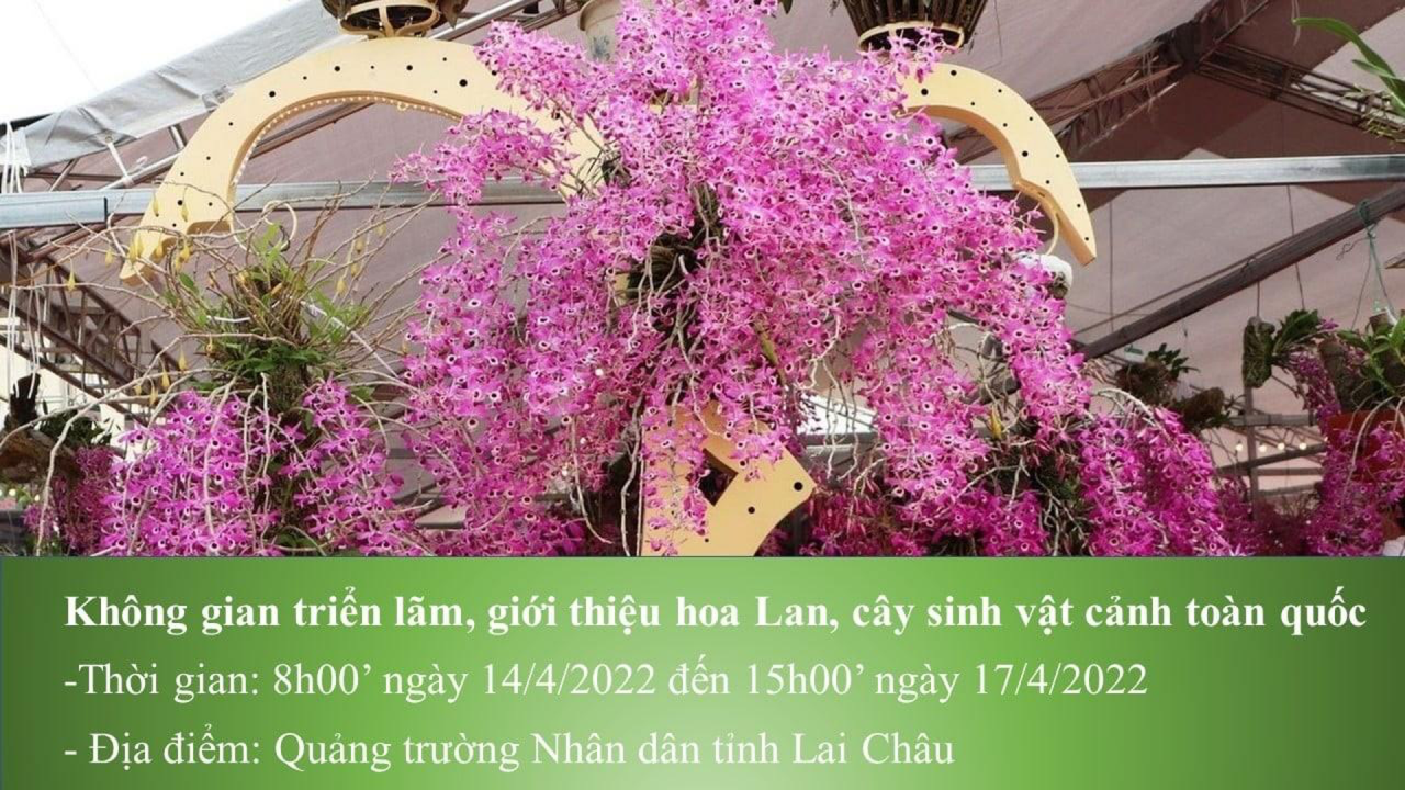 Các hoạt động phong phú của Tuần Du lịch - Văn hóa tỉnh Lai Châu năm 2022