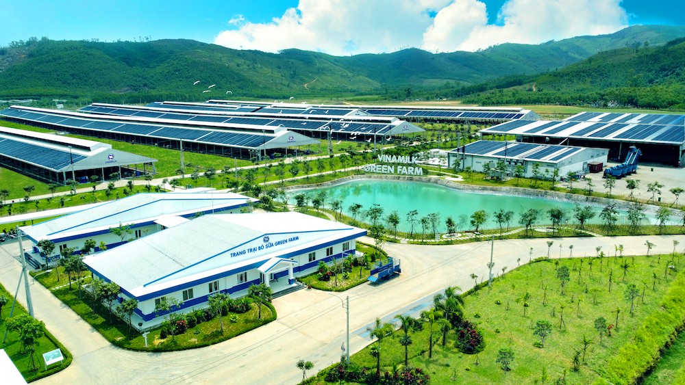Trang trại tại Quảng Ngãi là 1 trong 3 trang trại thuộc hệ thống trang trại sinh thái Green farm của Vinamilk. Trang trại tại Quảng Ngãi là 1 trong 3 trang trại thuộc hệ thống trang trại sinh thái Green farm của Vinamilk.