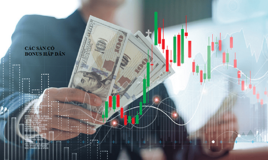 nhung website review ve forex co do tin cay cao