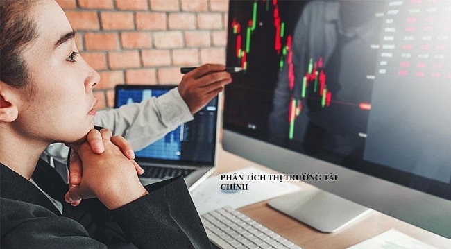 nhung website review ve forex co do tin cay cao