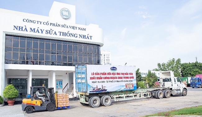 Lô sữa đặc Ông Thọ được Vinamilk xuất khẩu đi Trung Quốc trong tháng 4/2020 1459 v5