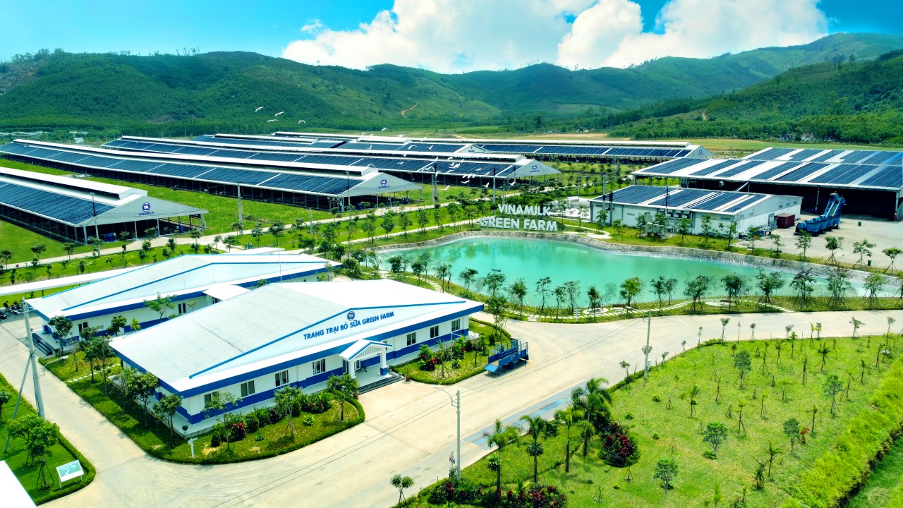 Vinamilk Green Farm - mô hình trang trại bò sữa phát triển bền vững Vinamilk Green Farm - mô hình trang trại bò sữa phát triển bền vững