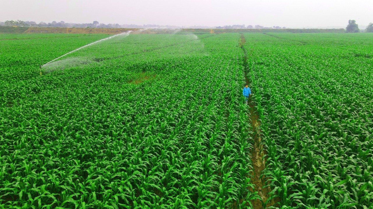 Vinamilk chia sẻ mô hình "Green Farm" - Bước tiến về phát triển bền vững của ngành sữa tại hội nghị toàn cầu tại Pháp Vinamilk chia sẻ mô hình "Green Farm" - Bước tiến về phát triển bền vững của ngành sữa tại hội nghị toàn cầu tại Pháp