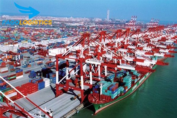 FagoLogistics cung cấp dịch vụ vận tải đường biển nhanh chóng, tin cậy