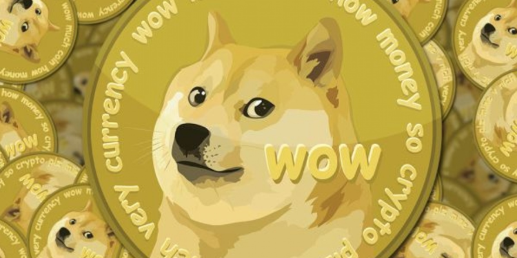 Tiktok video endorses Dogecoin price surge by 19 times in 2 days 2355 dogecoin