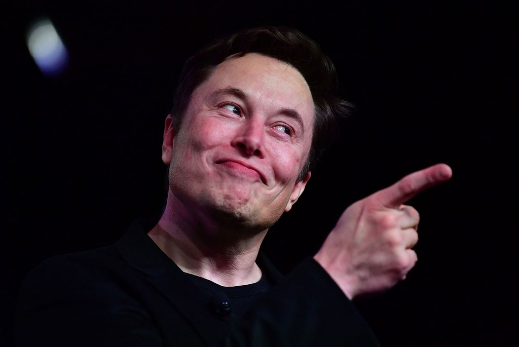 Tiktok video endorses Dogecoin price surge by 19 times in 2 days 2625 elon musk like