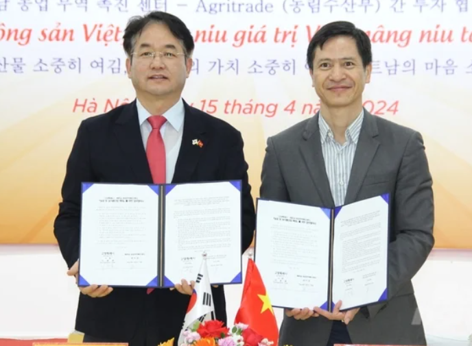 在韩国联合推广越南农产品 在韩国联合推广越南农产品