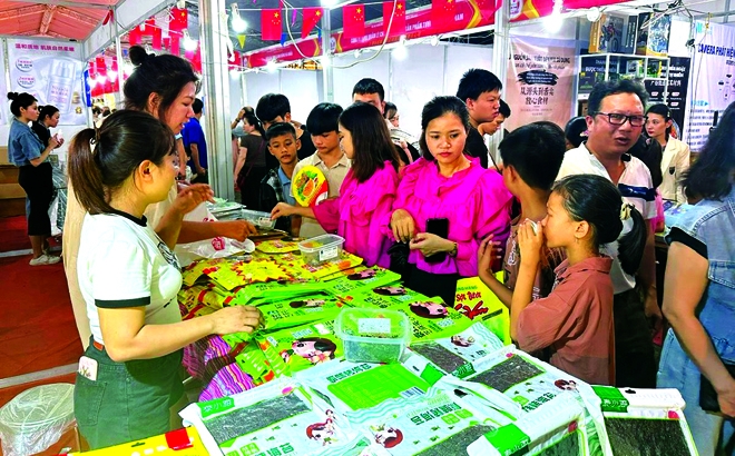 安沛省加强与越中经济走廊各省市的联系与合作 安沛省加强与越中经济走廊各省市的联系与合作