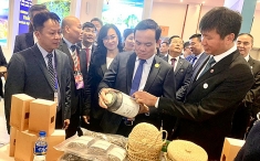 安沛省加强与越中经济走廊各省市的联系与合作