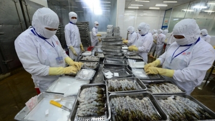 中国——越南海鲜的潜在市场