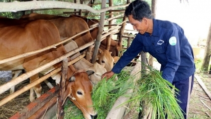 联合国开发计划署欢迎越南公布多维贫困统计