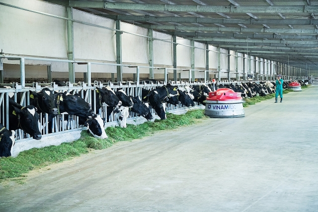 Sở hữu 75% vốn điều lệ GTNfoods, Vinamilk chính thức tham gia quản lý Mộc Châu Milk so huu 75 von dieu le gtnfoods vinamilk chinh thuc tham gia quan ly moc chau milk