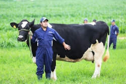 vinamilk tham gia quan tri va dieu hanh tai gtnfoods