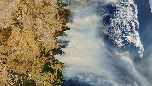 Kinh hãi cảnh động vật chết cháy, rừng xanh hoá biển lửa... vì cháy rừng ở Australia kinh hai canh dong vat chet chay rung xanh hoa bien lua vi chay rung o australia