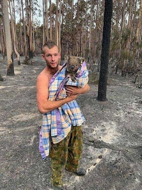 Kinh hãi cảnh động vật chết cháy, rừng xanh hoá biển lửa... vì cháy rừng ở Australia kinh hai canh dong vat chet chay rung xanh hoa bien lua vi chay rung o australia