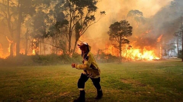 Kinh hãi cảnh động vật chết cháy, rừng xanh hoá biển lửa... vì cháy rừng ở Australia kinh hai canh dong vat chet chay rung xanh hoa bien lua vi chay rung o australia
