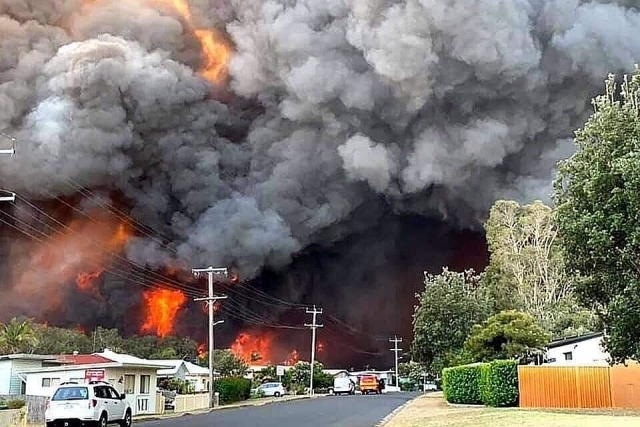 Kinh hãi cảnh động vật chết cháy, rừng xanh hoá biển lửa... vì cháy rừng ở Australia kinh hai canh dong vat chet chay rung xanh hoa bien lua vi chay rung o australia