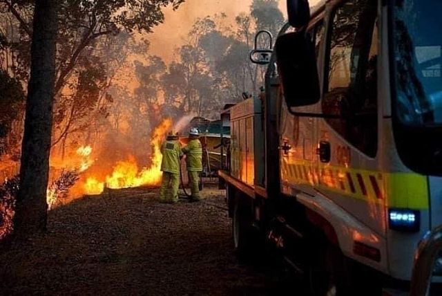 Những hình ảnh đau thương trong thảm hoạ cháy rừng ở Australia nhung hinh anh dau thuong trong tham hoa chay rung o australia