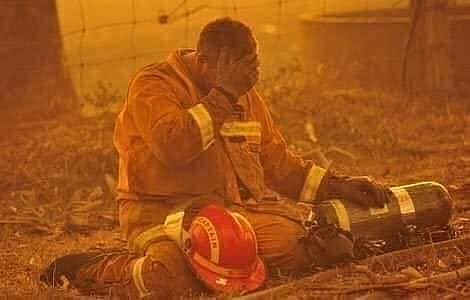 Những hình ảnh đau thương trong thảm hoạ cháy rừng ở Australia nhung hinh anh dau thuong trong tham hoa chay rung o australia