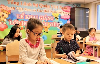 Tiếp tục đẩy mạnh thực hiện công tác người Việt Nam ở nước ngoài