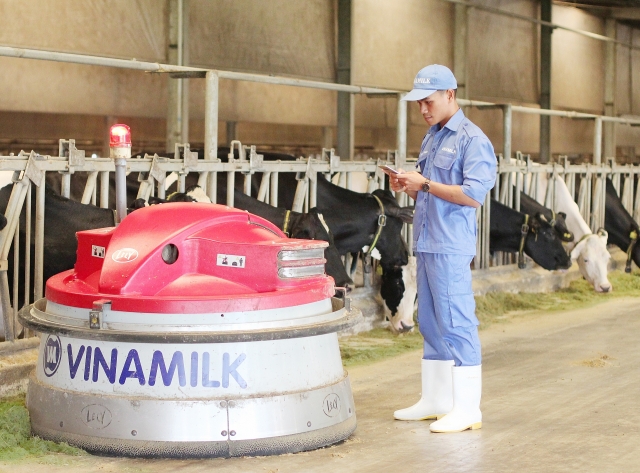 Phát triển nhân tài hiệu quả - lựa chọn nào cho doanh nghiệp? phat trien nhan tai hieu qua lua chon nao cho doanh nghiep