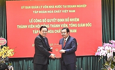 bo nhiem lanh dao tap doan hoa chat viet nam tong cong ty luong thuc mien bac