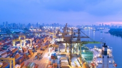 hiep dinh thuong mai evfta se giup gdp viet nam tang toi hon 7