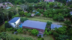 tam giu hinh su 2 doi tuong lien quan den dia oc alibaba