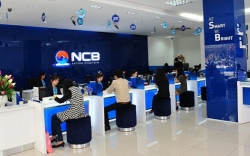 lai suat ngan hang nao cao nhat hom nay 303