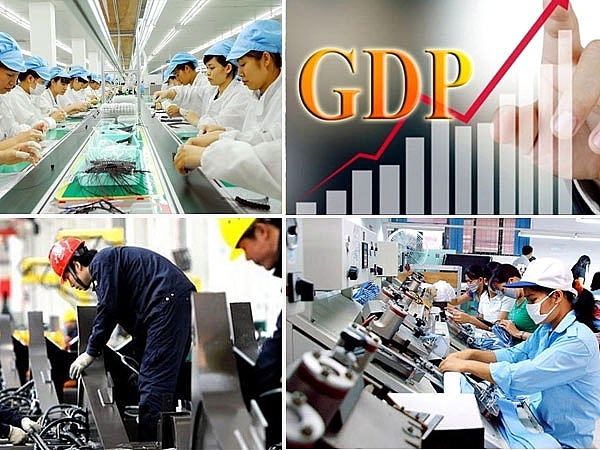 Tổng điều tra kinh tế gồm những gì?