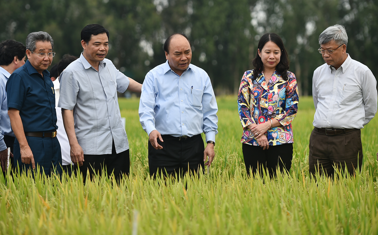 Cam kết và tầm nhìn thế kỷ của Chính phủ với 20 triệu người dân ĐBSCL Cam kết và tầm nhìn thế kỷ của Chính phủ với 20 triệu người dân ĐBSCL