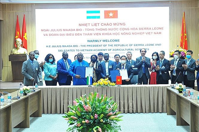 Lễ ký biên bản ghi nhớ giữa Viện Khoa học Nông nghiệp Việt Nam với Bộ nông lâm nghiệp Cộng hòa Sierra Leone. Ảnh: Minh Đức/TTXVN Lễ ký biên bản ghi nhớ giữa Viện Khoa học Nông nghiệp Việt Nam với Bộ nông lâm nghiệp Cộng hòa Sierra Leone. Ảnh: Minh Đức/TTXVN