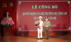 tin bo nhiem lanh dao moi tai tphcm an giang nghe an