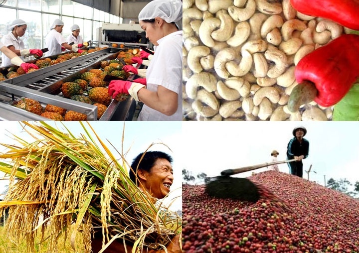 Việt Nam xuất siêu hơn 7 tỷ USD viet nam xuat sieu hon 7 ty usd ke tu dau nam 2019
